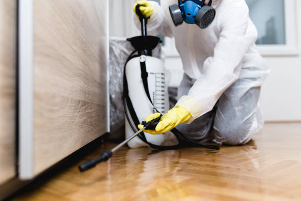 Best Bed Bug Extermination  in Breckenridge, CO
