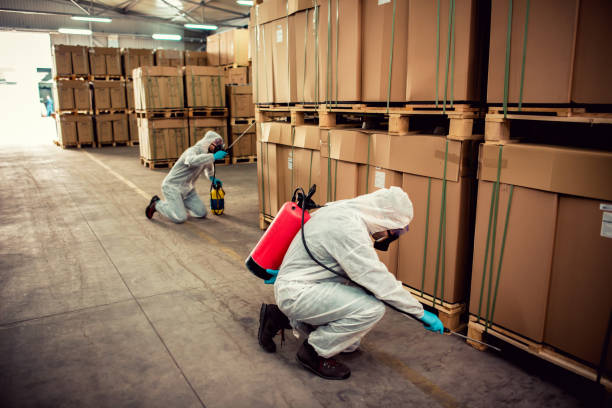 Best Affordable Exterminators  in Breckenridge, CO