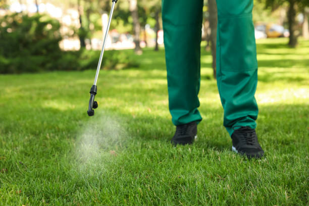 Best Pest Prevention Services  in Breckenridge, CO