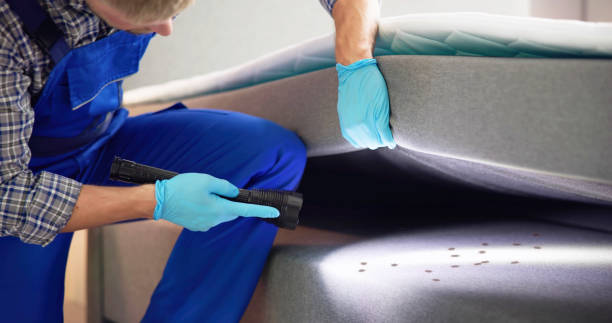 Reliable Breckenridge, CO Pest Control Solutions